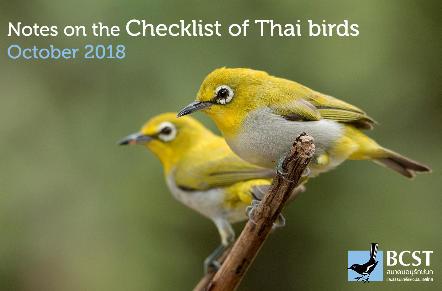 Bird Conservation Society Of Thailand Conserving Birds And Nature